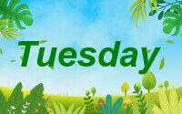 tuesday
