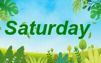 saturday