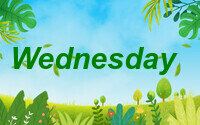 wednesday