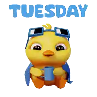 Tuesday