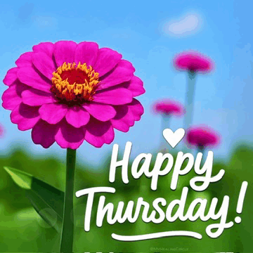 thursday