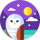 Night Owl