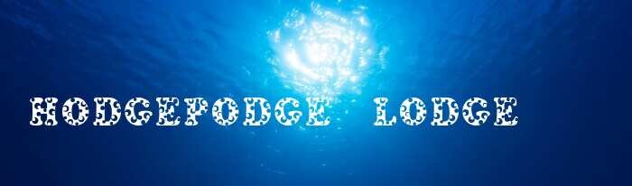 Hodgepodge Lodge